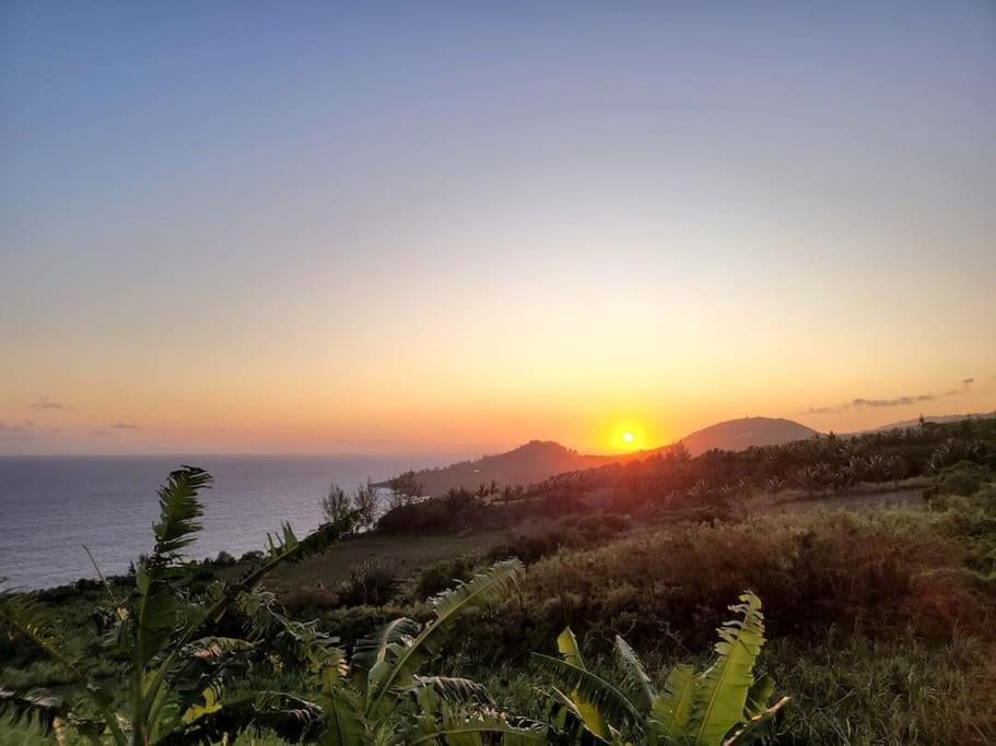 Maison De Vacances, Decouvrir Le Sud De La Reunion Petite Île Dış mekan fotoğraf